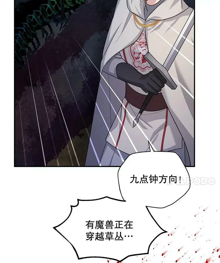 96.黄金召唤师的回归41