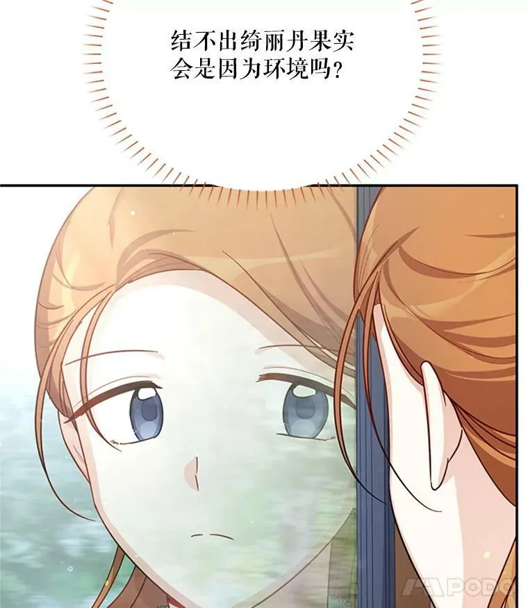 27.绮丽丹果实107