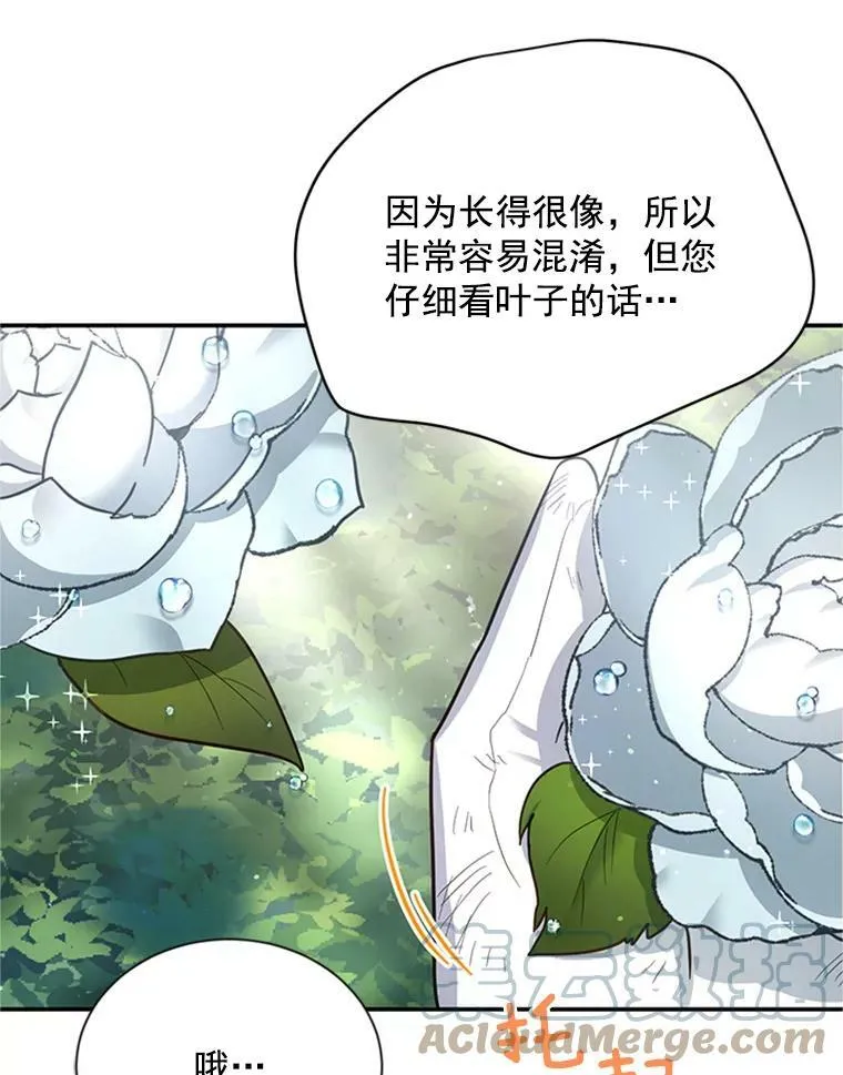 26.优秀的女主人68