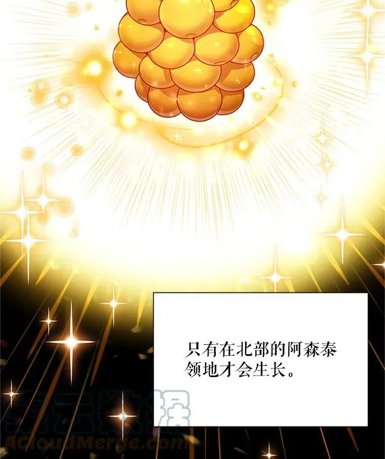 27.绮丽丹果实80