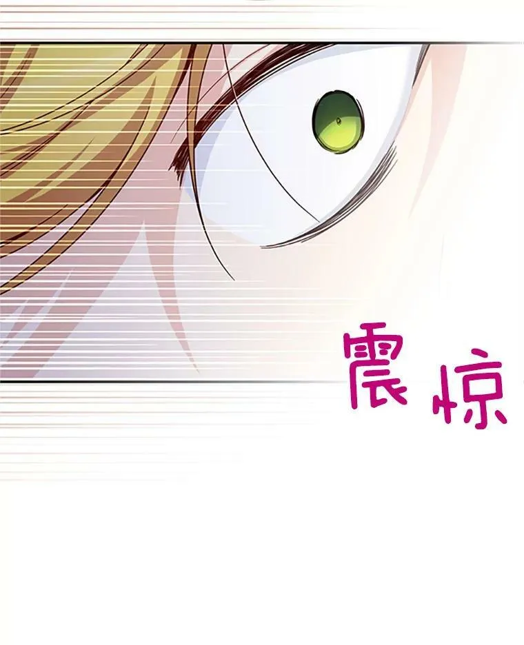 80.加斯帕的新影子73