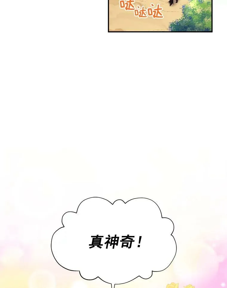 46.召唤神兽之王17