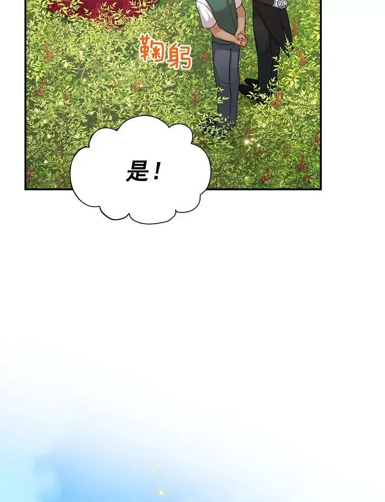 51.治疗剂47