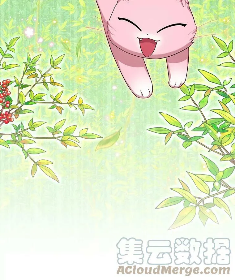 51.治疗剂40