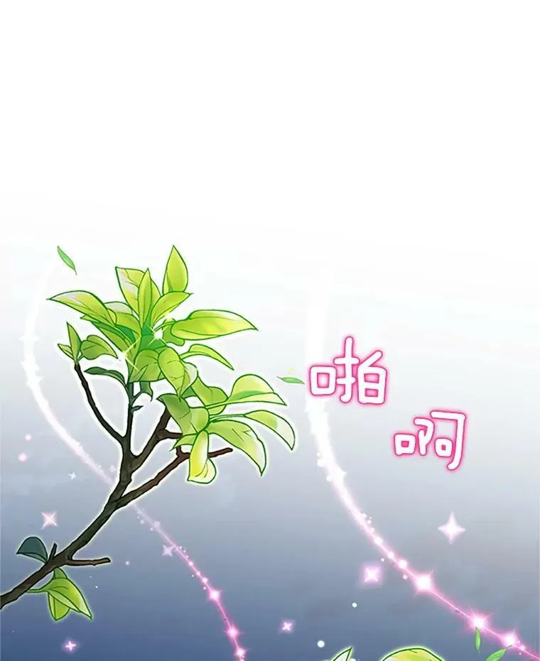 80.加斯帕的新影子75