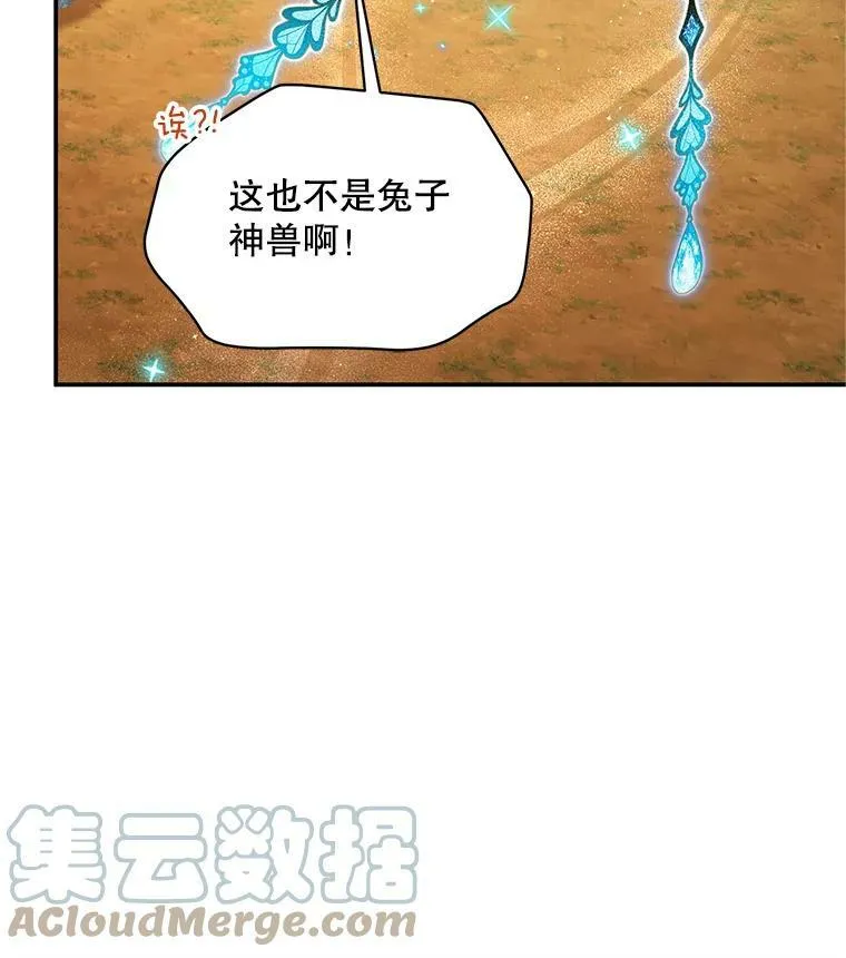 108.顶级召唤师16