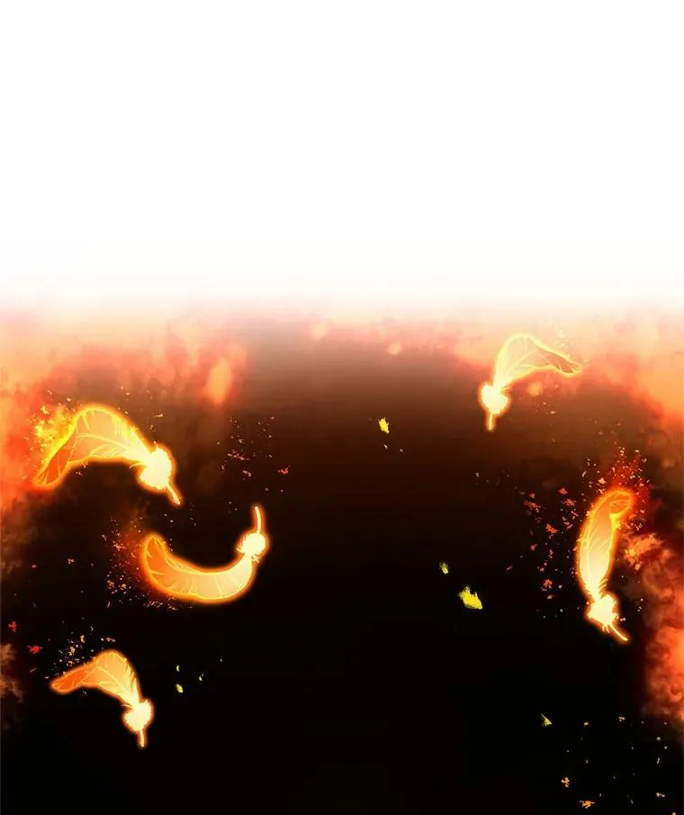 38.绮丽丹试剂5