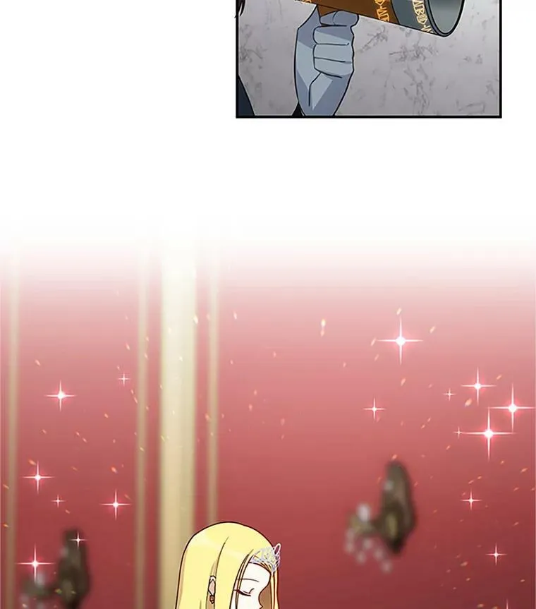 17.公主的生日宴49