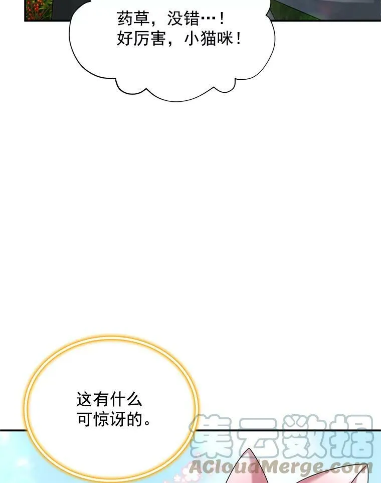 51.治疗剂44