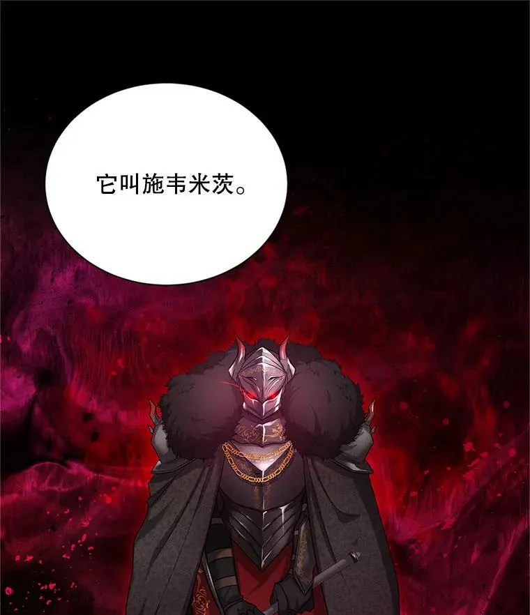 110.总司令现身26