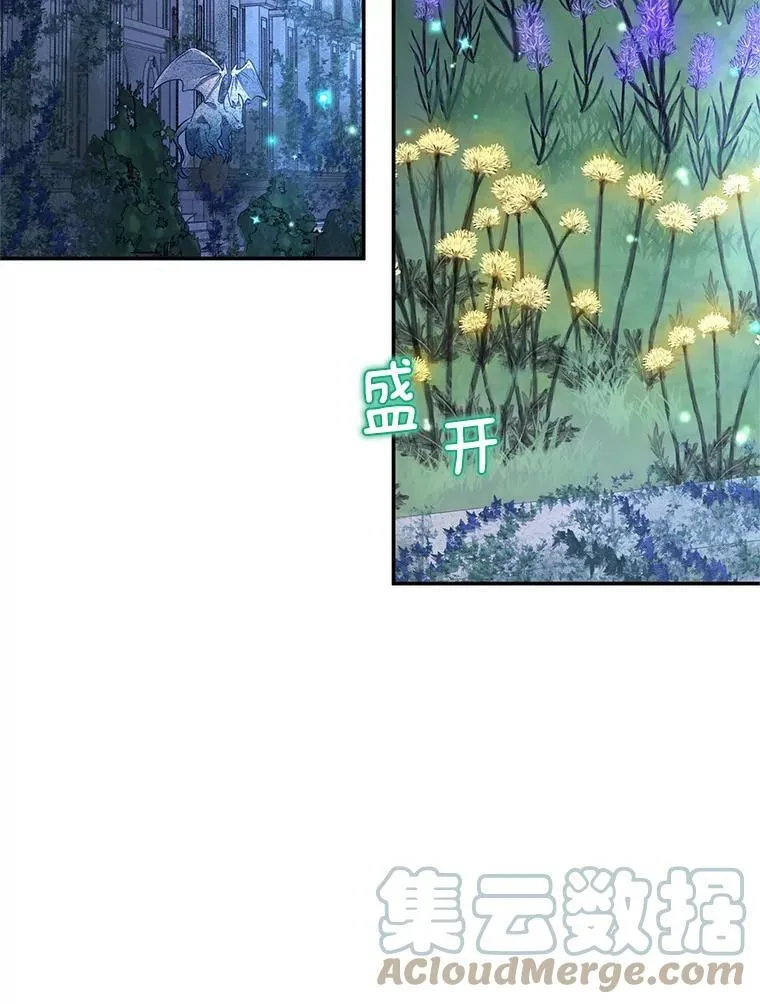 39.进入古魔法王国36