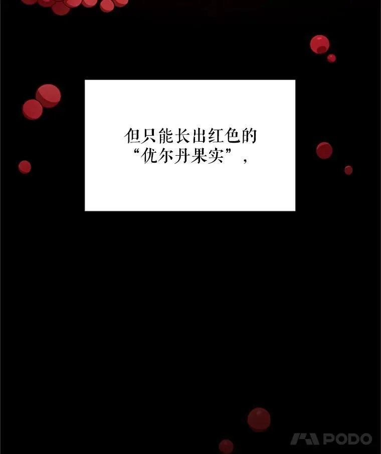 27.绮丽丹果实78