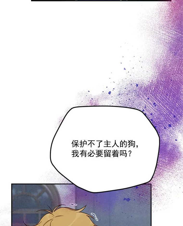 31.圣骑士巴德兰37