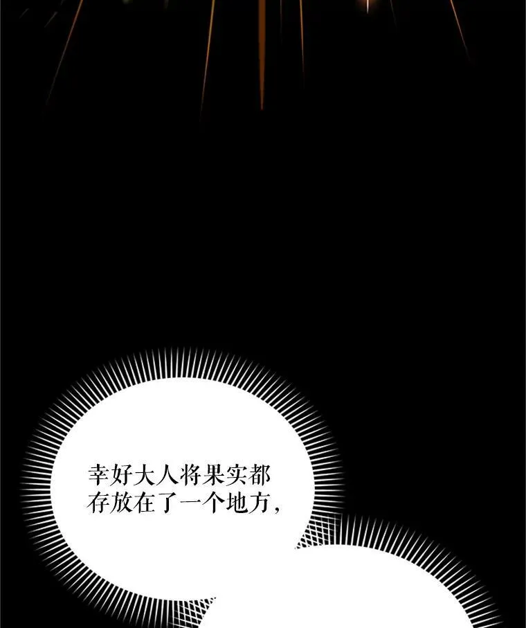 27.绮丽丹果实81