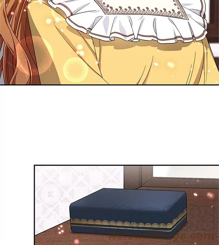 17.公主的生日宴21
