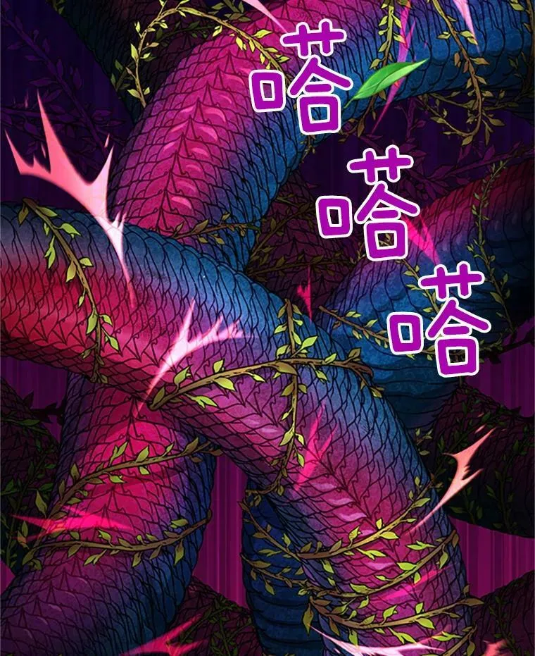 80.加斯帕的新影子78