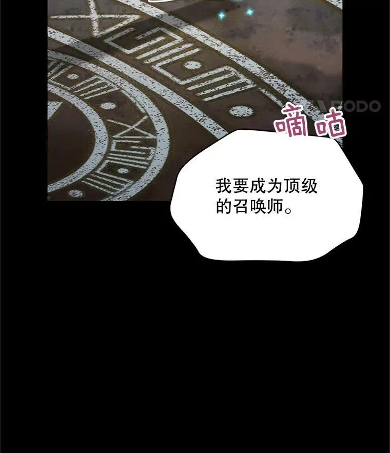 108.顶级召唤师31
