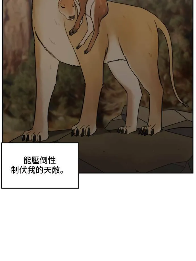 裵善忠 449