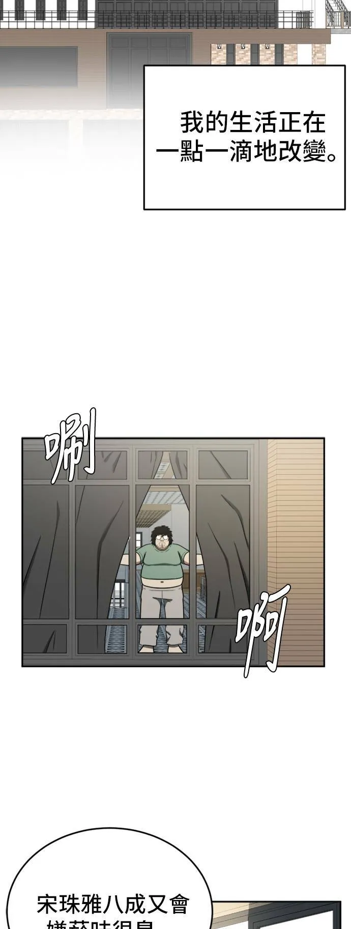 艾登 1560