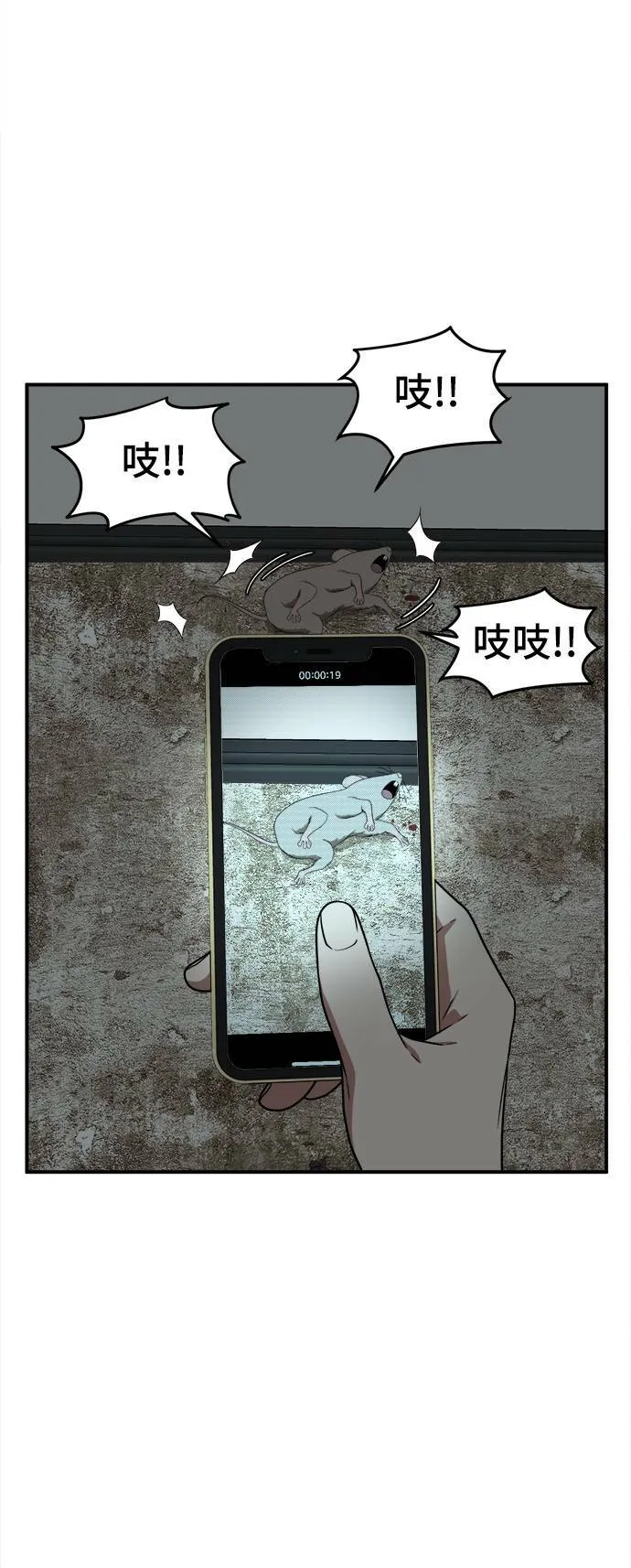 韩成振 437