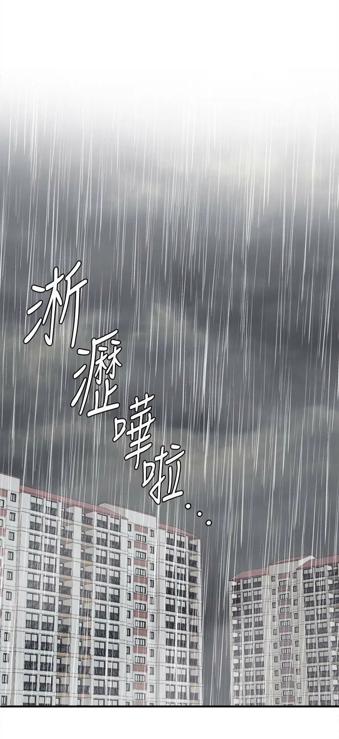 乔泰熙 336