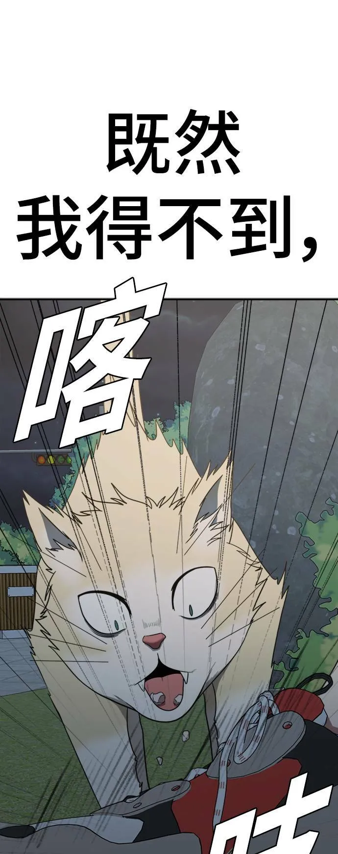 秋斗娜 1370