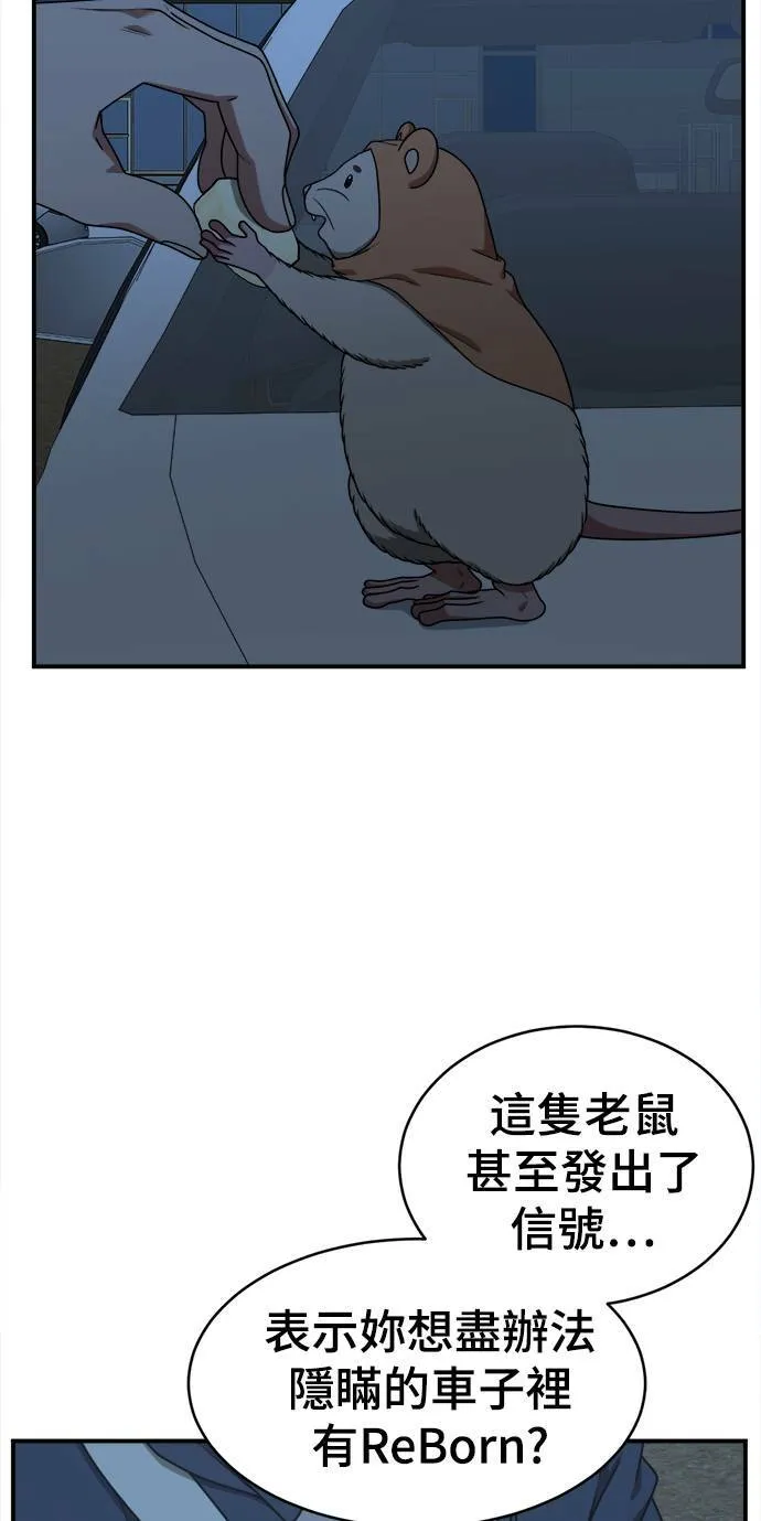 河娜永 869
