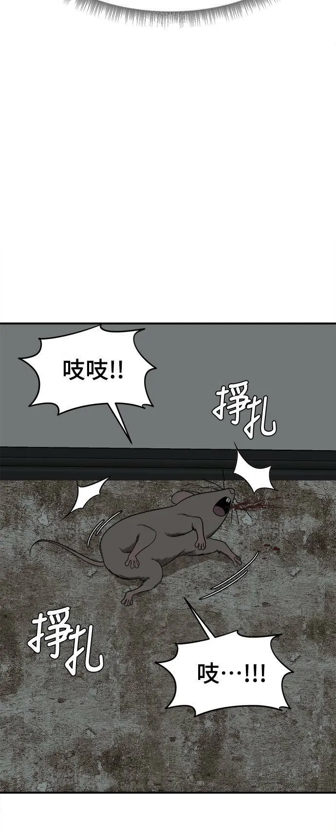 韩成振 436