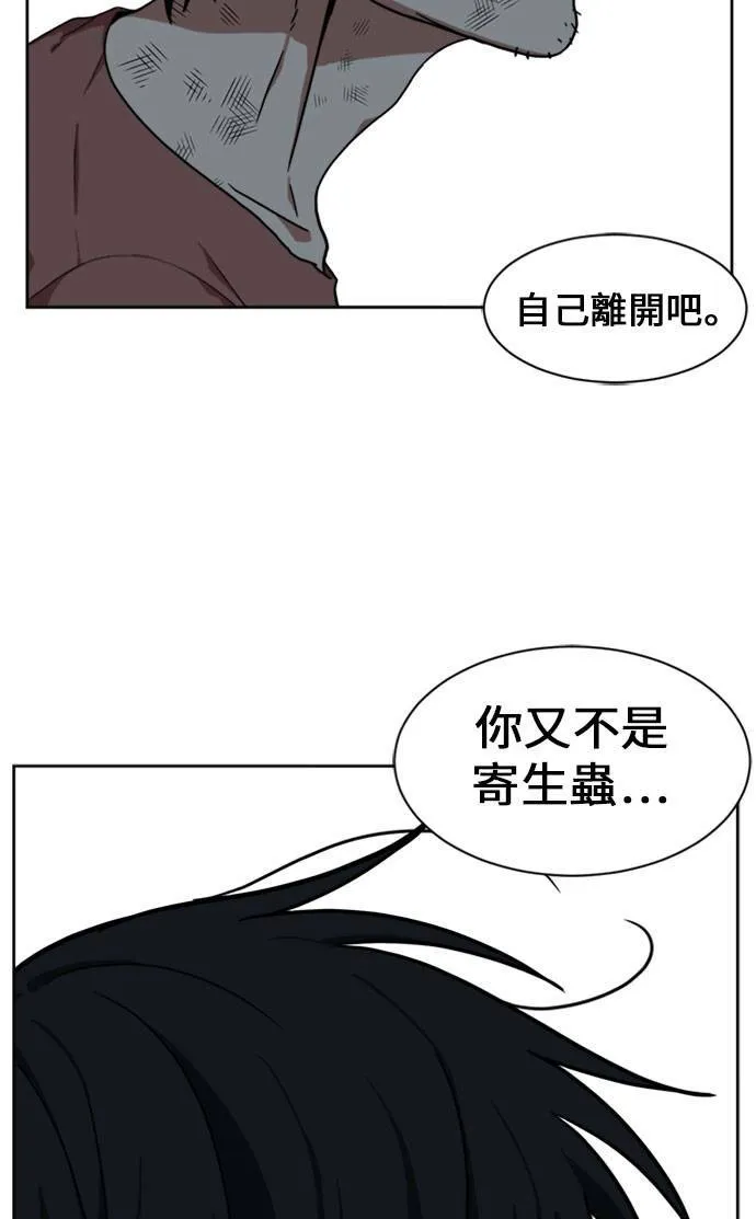 郑弦珠 1568