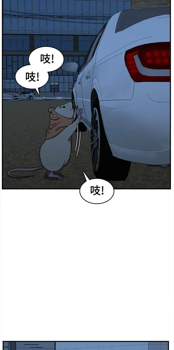 河娜永 837