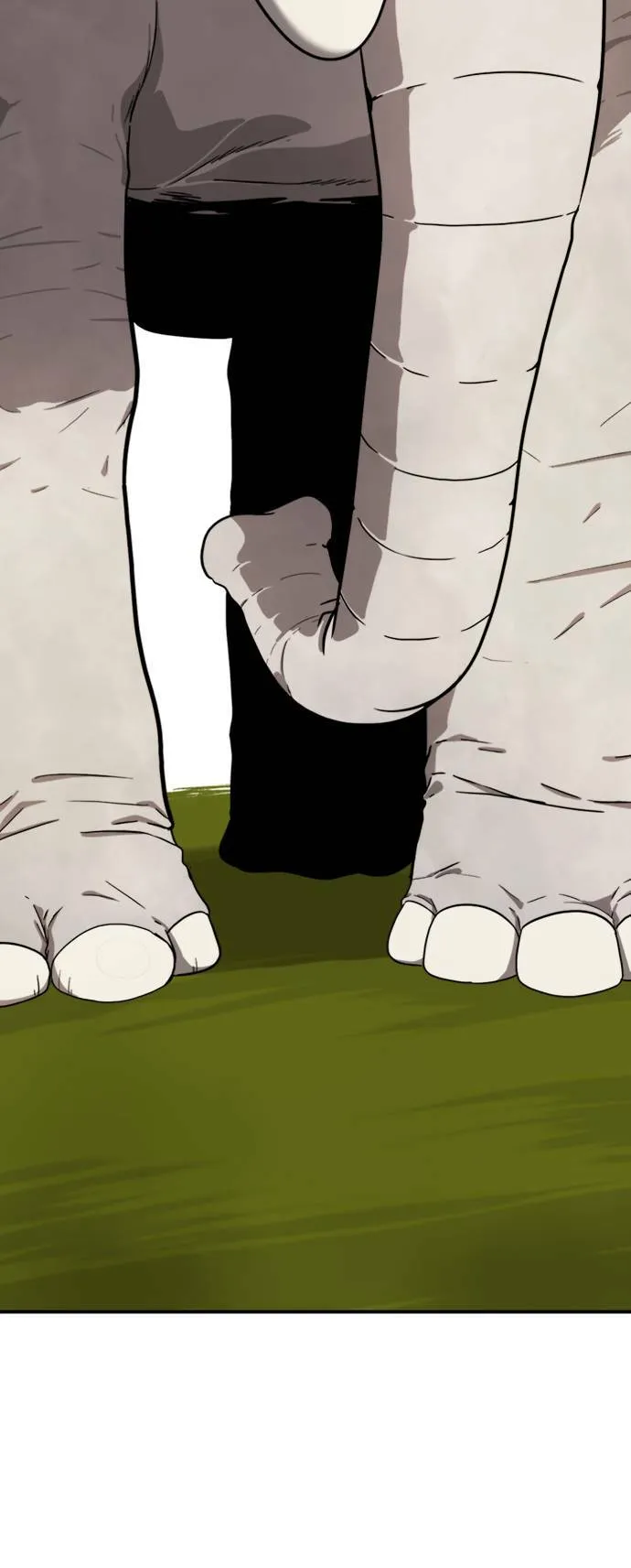 吕敏舒 1466