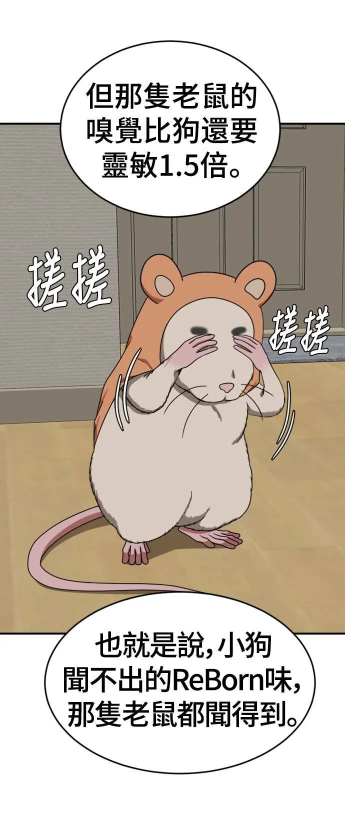 河娜永 755