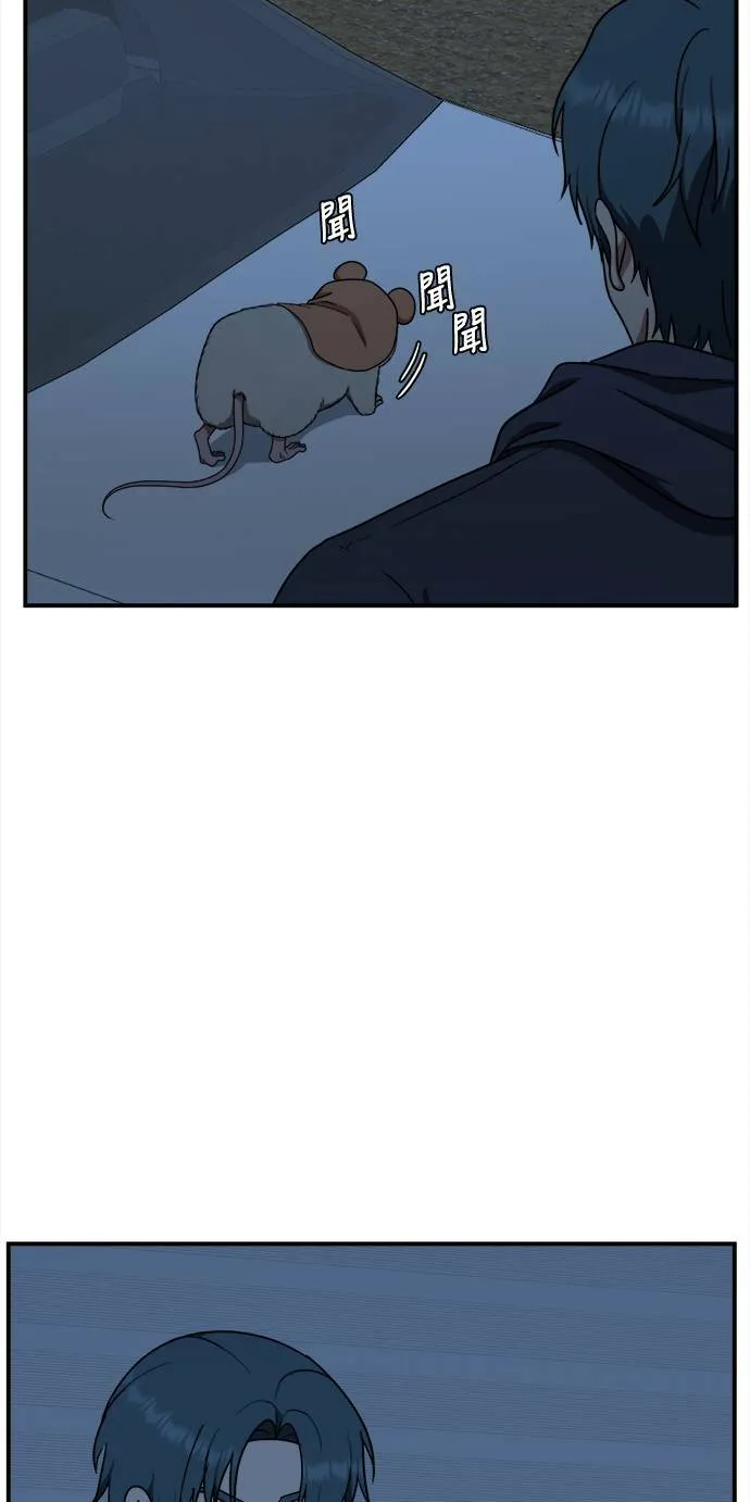河娜永 839