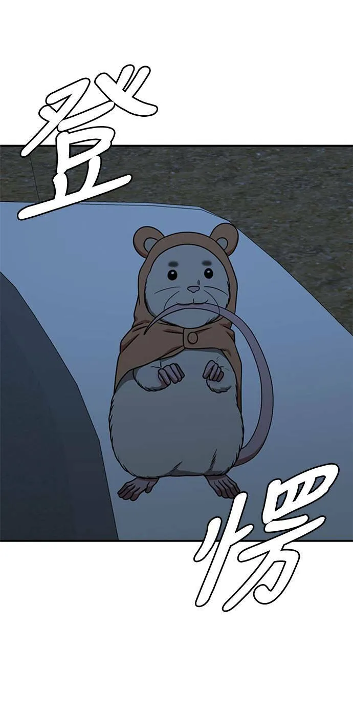 河娜永 841