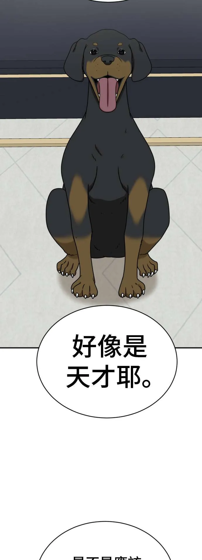 成乔彬 12