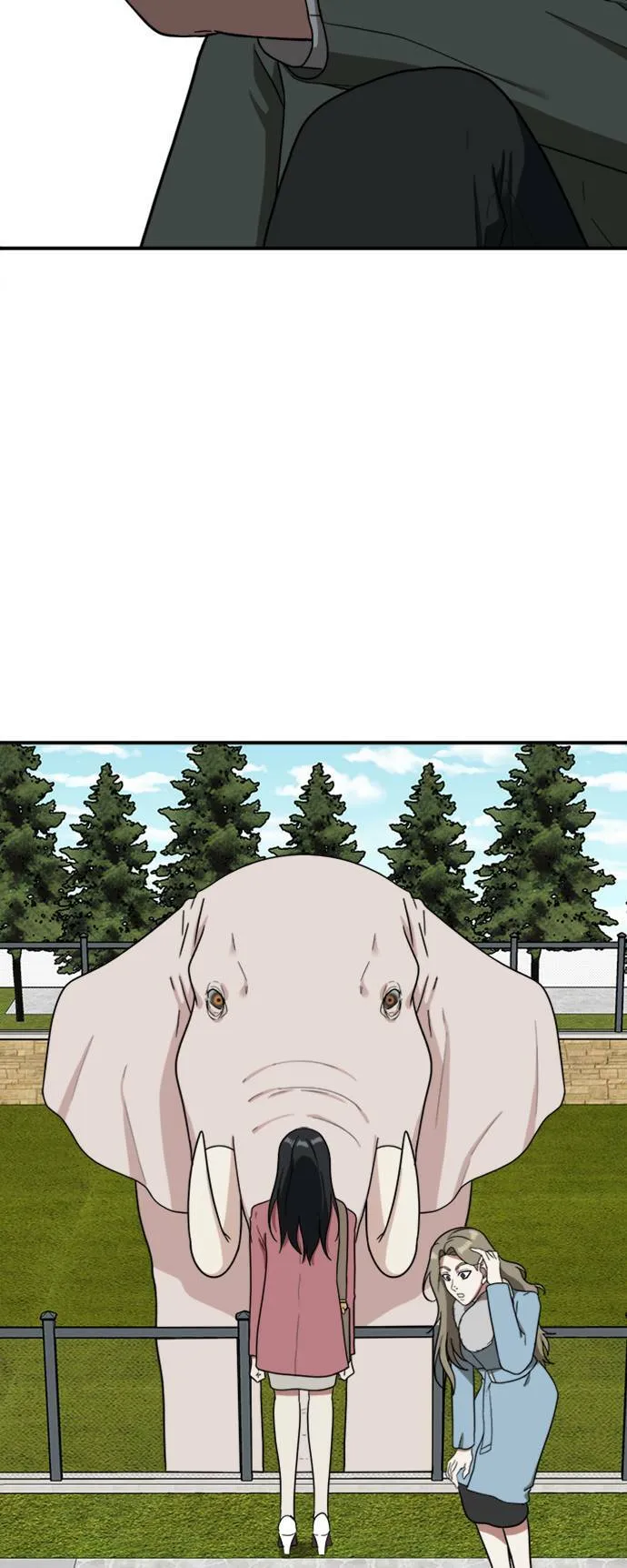 吕敏舒 1517