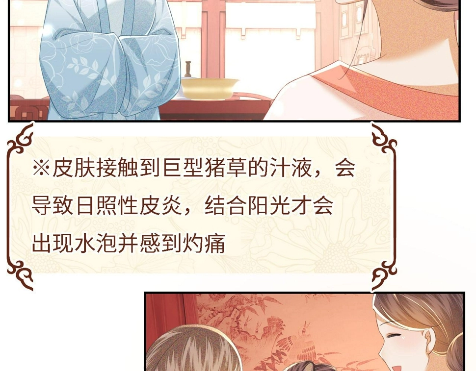 第56话 梅妃毁容13