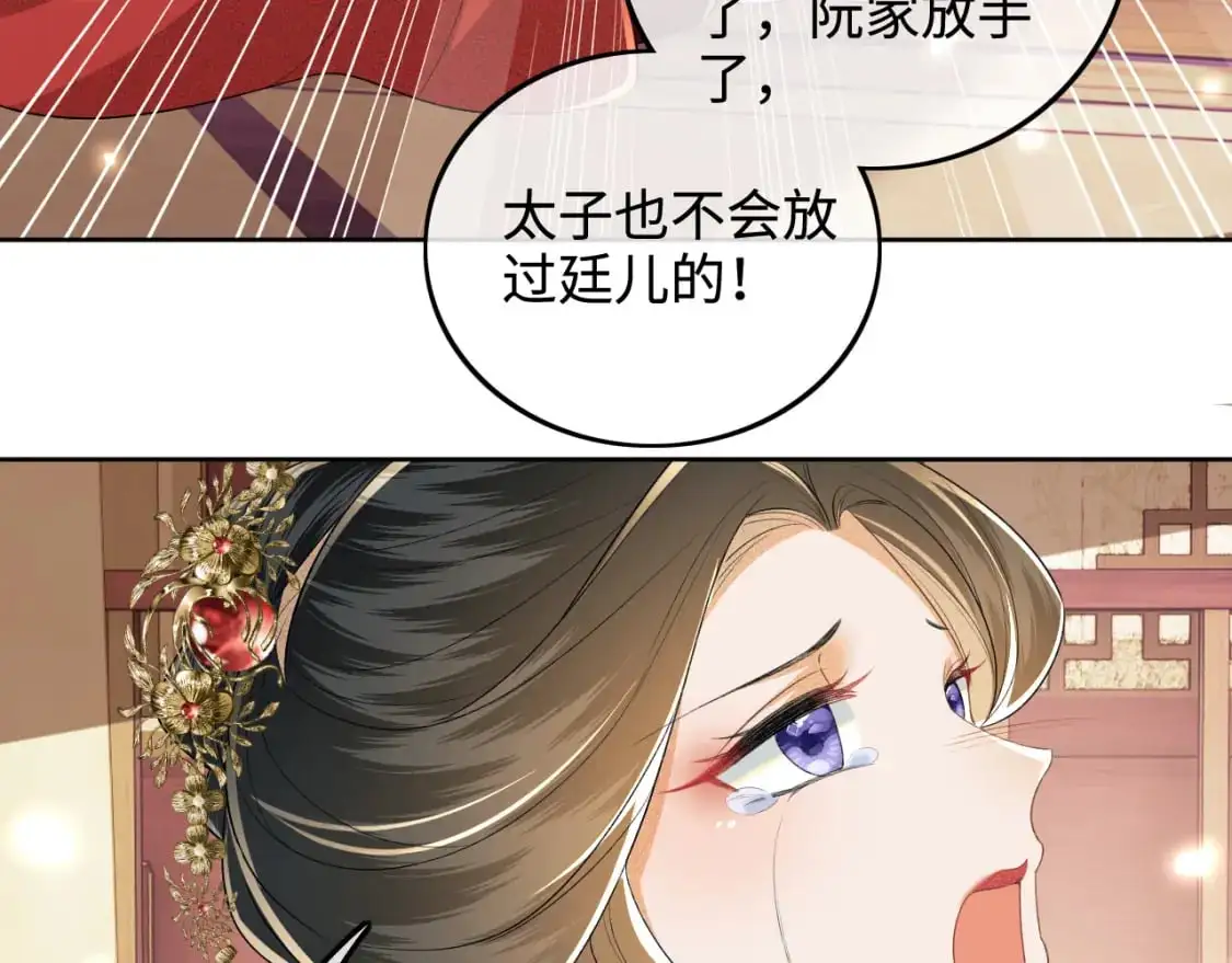 第92话 有我在，不会让皇兄有事28