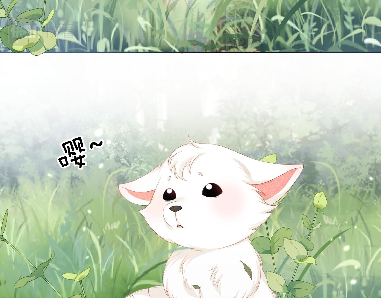 第45话 小白狐46