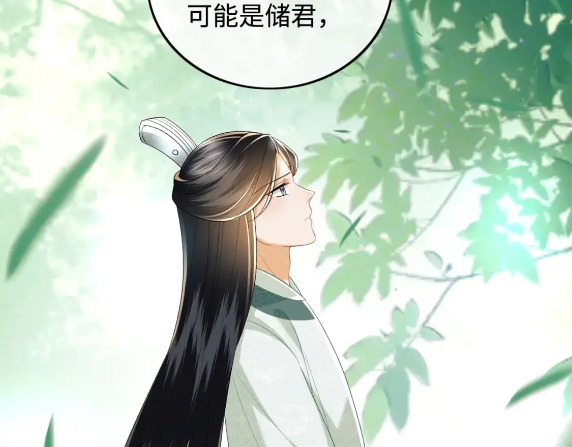 第92话 有我在，不会让皇兄有事19