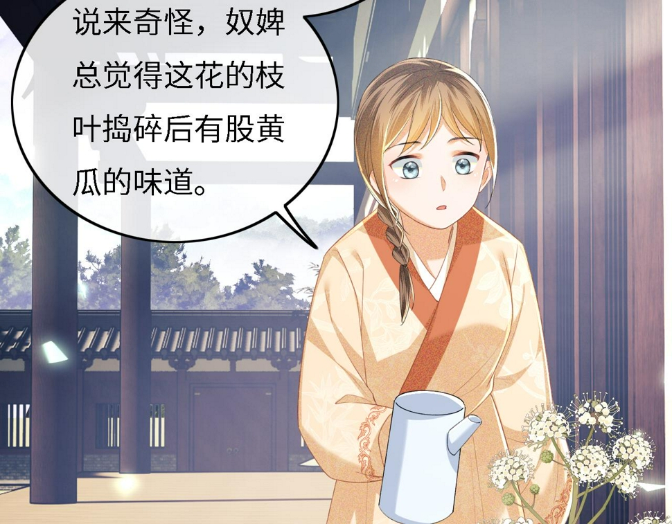 第55话 巨型猪草67