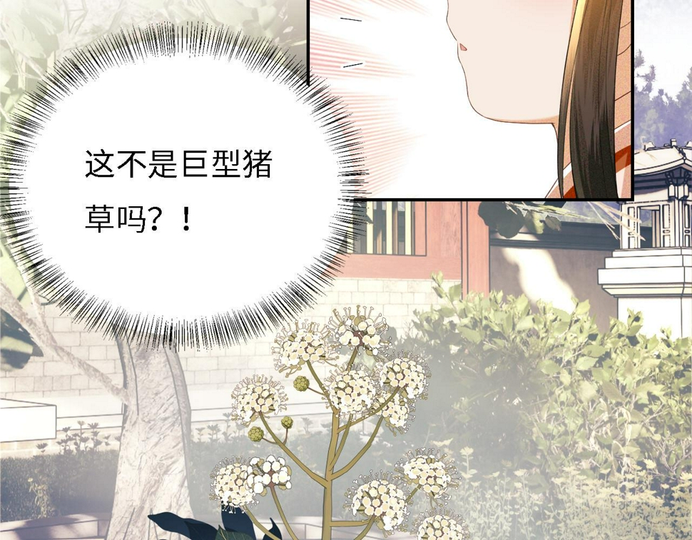 第55话 巨型猪草28