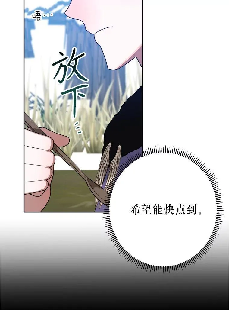 76.乌贝尔山41