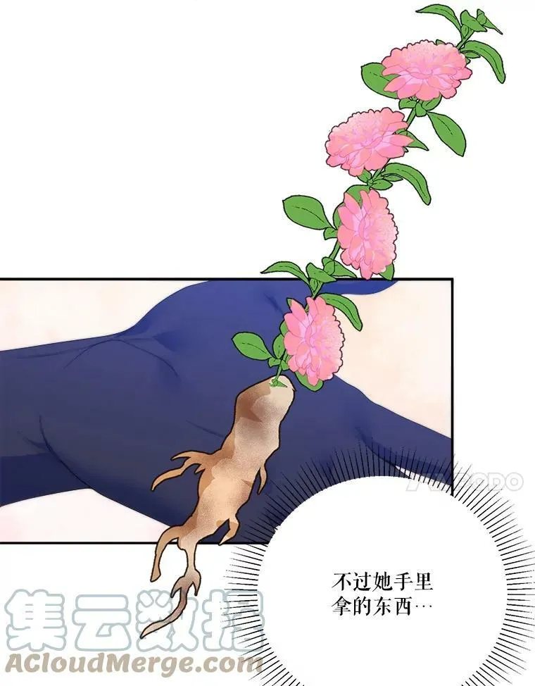 49.皇帝的礼物40