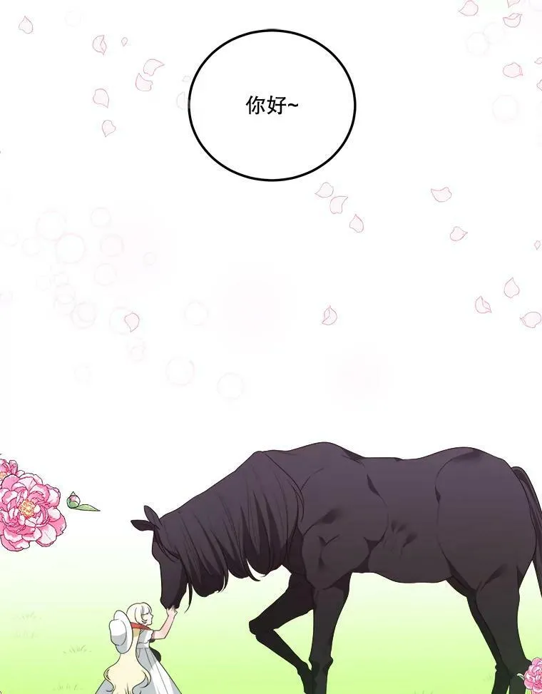 25.亲和力7