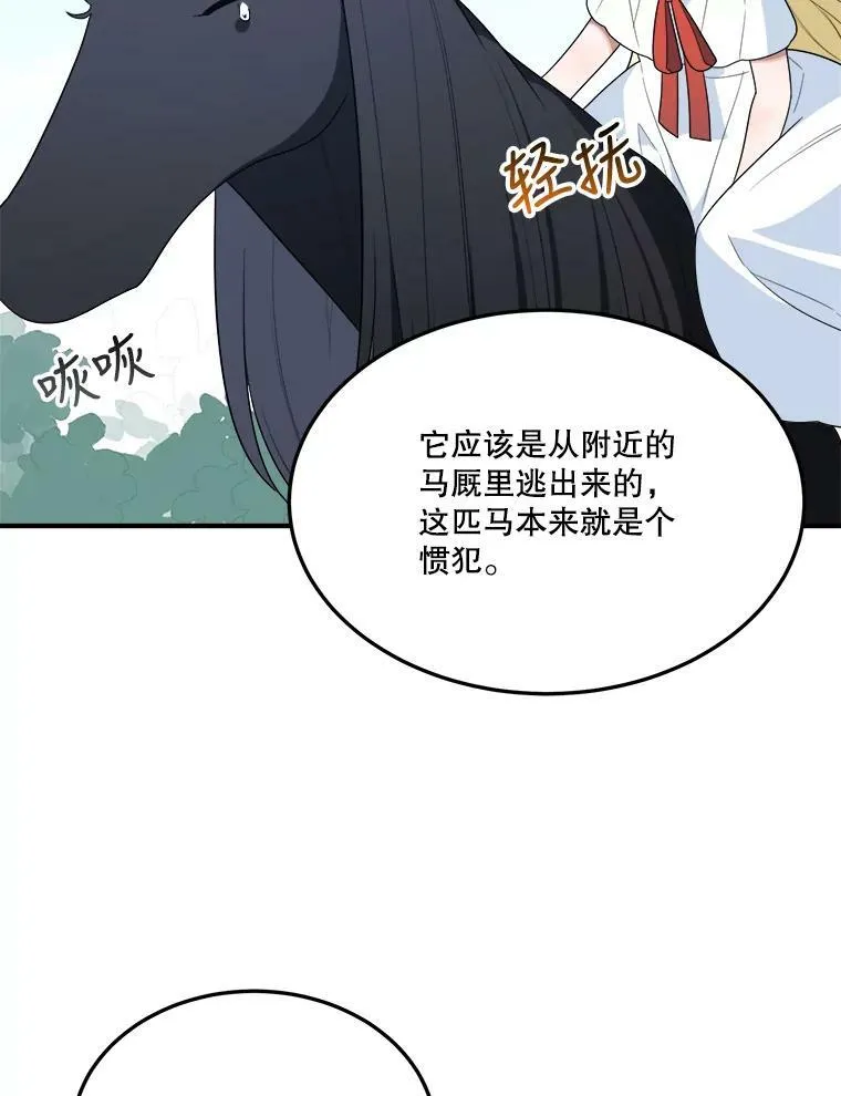 25.亲和力81