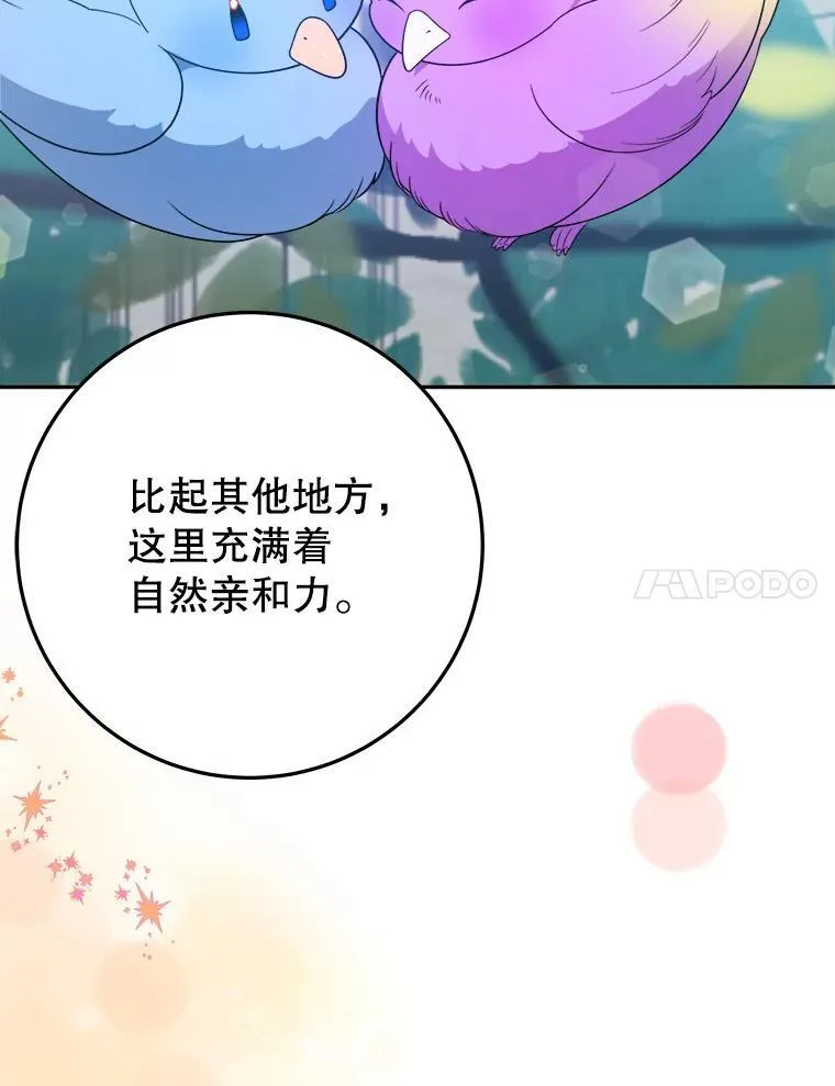64.令人期待的竞技场6