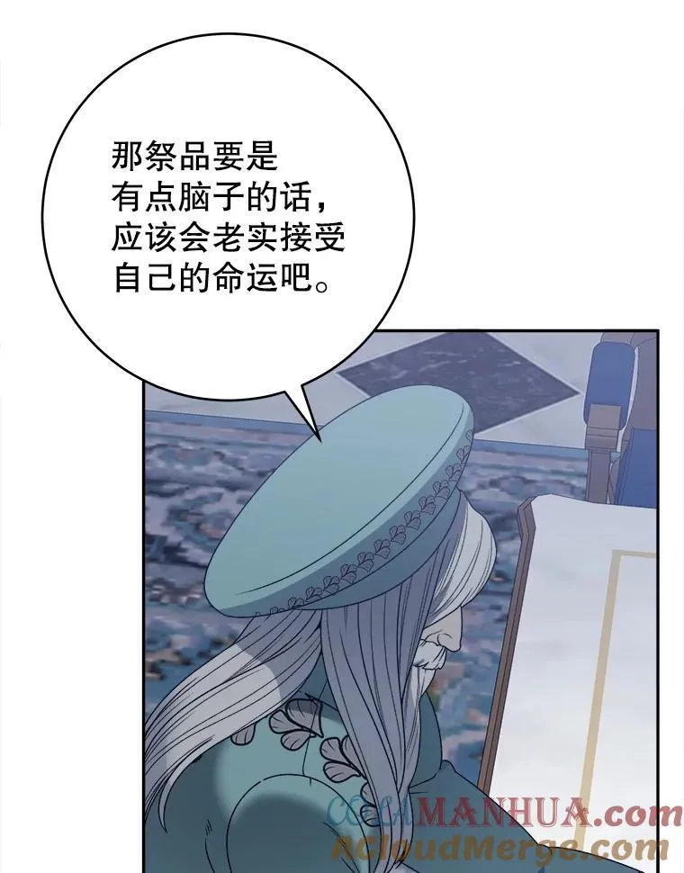 88.亲手做的玩偶48
