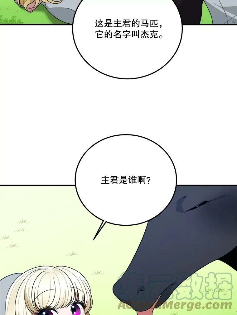 25.亲和力24