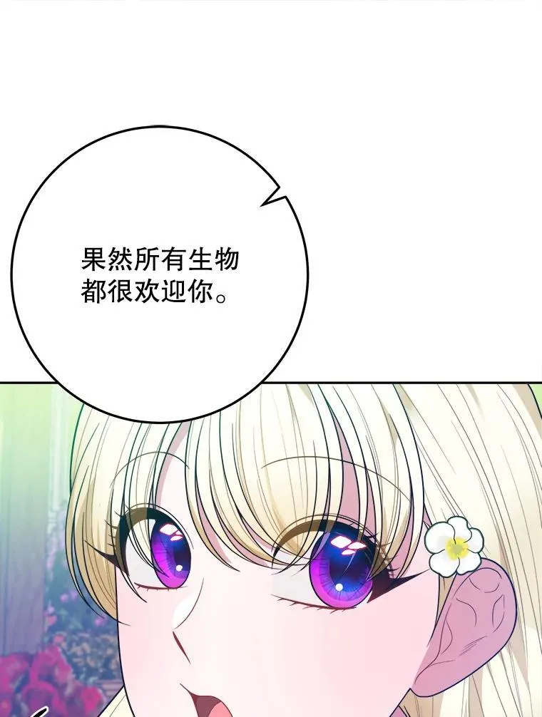 64.令人期待的竞技场11
